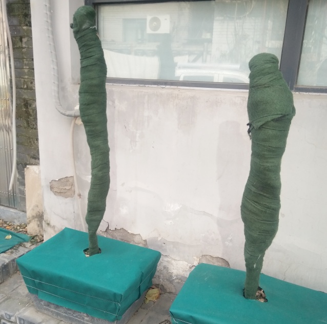 北京胡同剃头匠王师傅因直播剔光头走红金融系女大学生采访奇遇