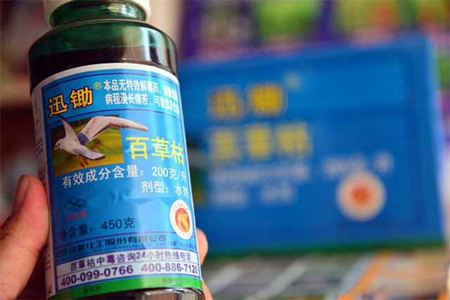 误食剧毒百草枯后果到底有多可怕,喝百草枯致死案例