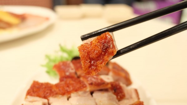 红翻天的小萌物带你激活圣诞季，还不快来瞧瞧？