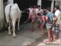 怎么知道皮料是真皮还是人造革,怎样看是不是真皮