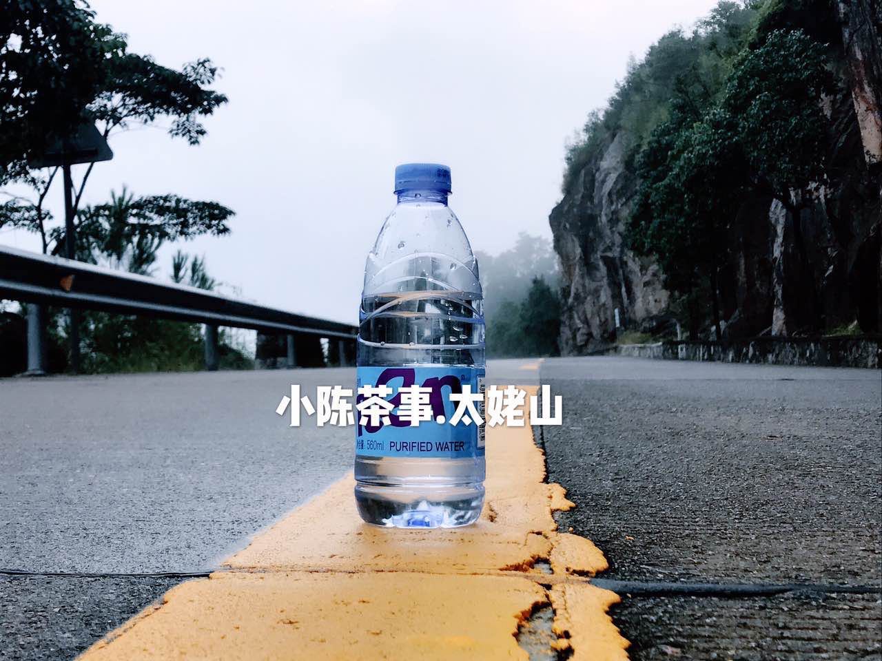 想了解白茶,花五分钟读完白茶这十个特点!