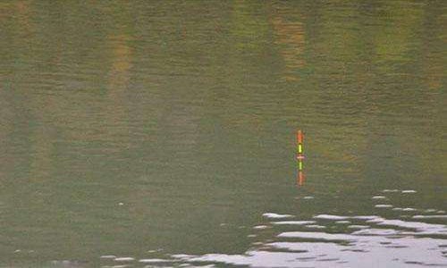 钓鱼风浪大怎么调漂,钓鱼碰到风浪大时如何调漂