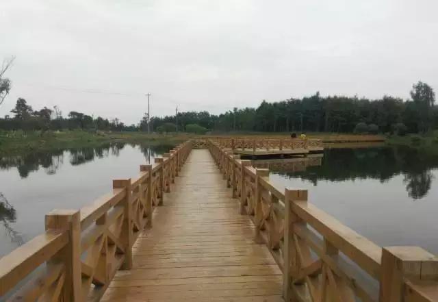 冬天成都两天来回得哪里去玩,成都3-5天短途旅游推荐