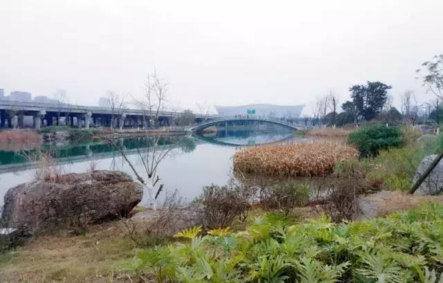 冬天成都两天来回得哪里去玩,成都3-5天短途旅游推荐