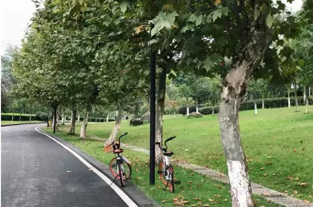 冬天成都两天来回得哪里去玩,成都3-5天短途旅游推荐