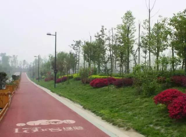 冬天成都两天来回得哪里去玩,成都3-5天短途旅游推荐