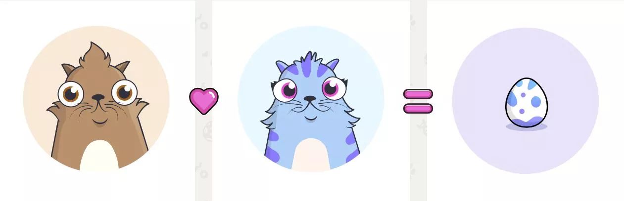 以太坊养猫详解,云养猫以太坊最新消息