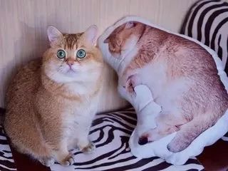 古代最风雅的十个城市,最意难平的古代城市改名