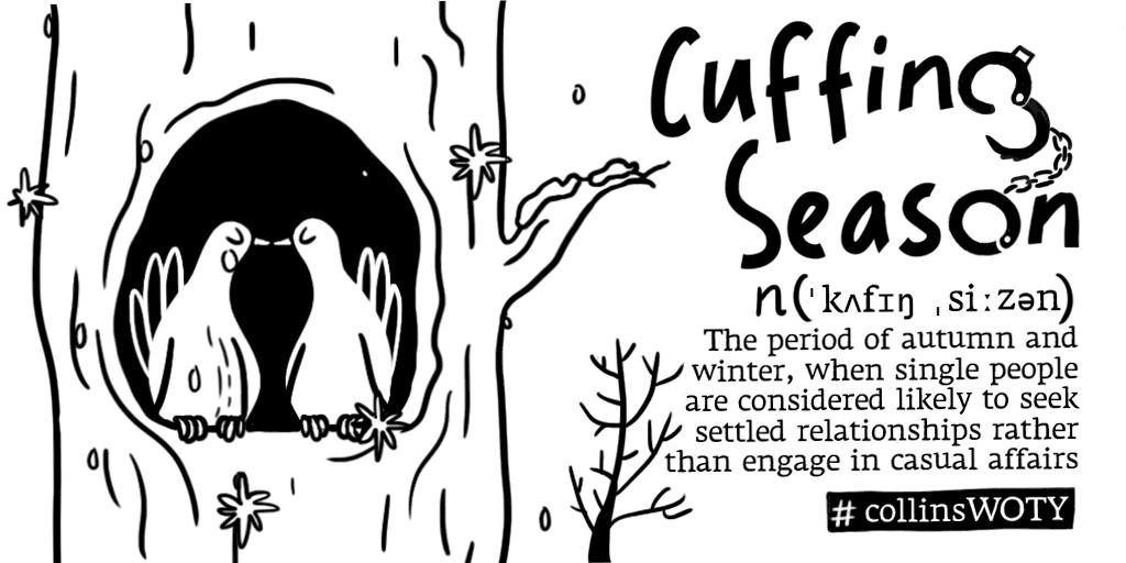 柯林斯为什么收录一些过时的词汇,柯林斯年度热词图片