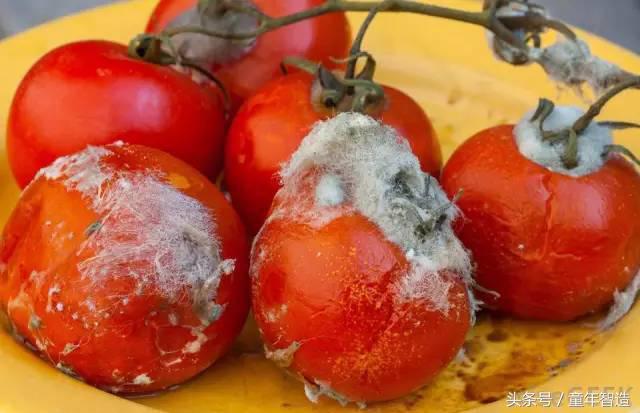 科学养娃真的科学么,科学有用常识小知识