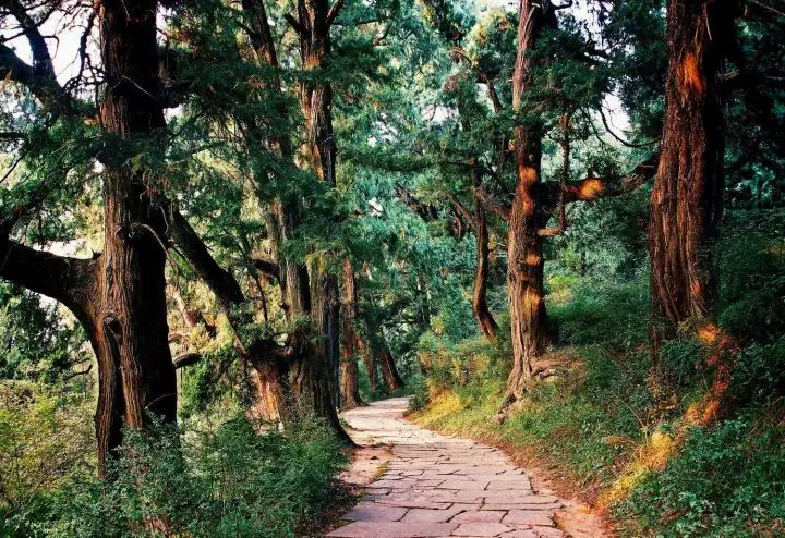 值得推荐的高铁路线,最牛的高铁路线