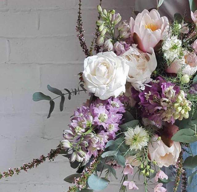 睡莲花能放在大塑料水缸里养吗,养睡莲用玻璃盆养护过程