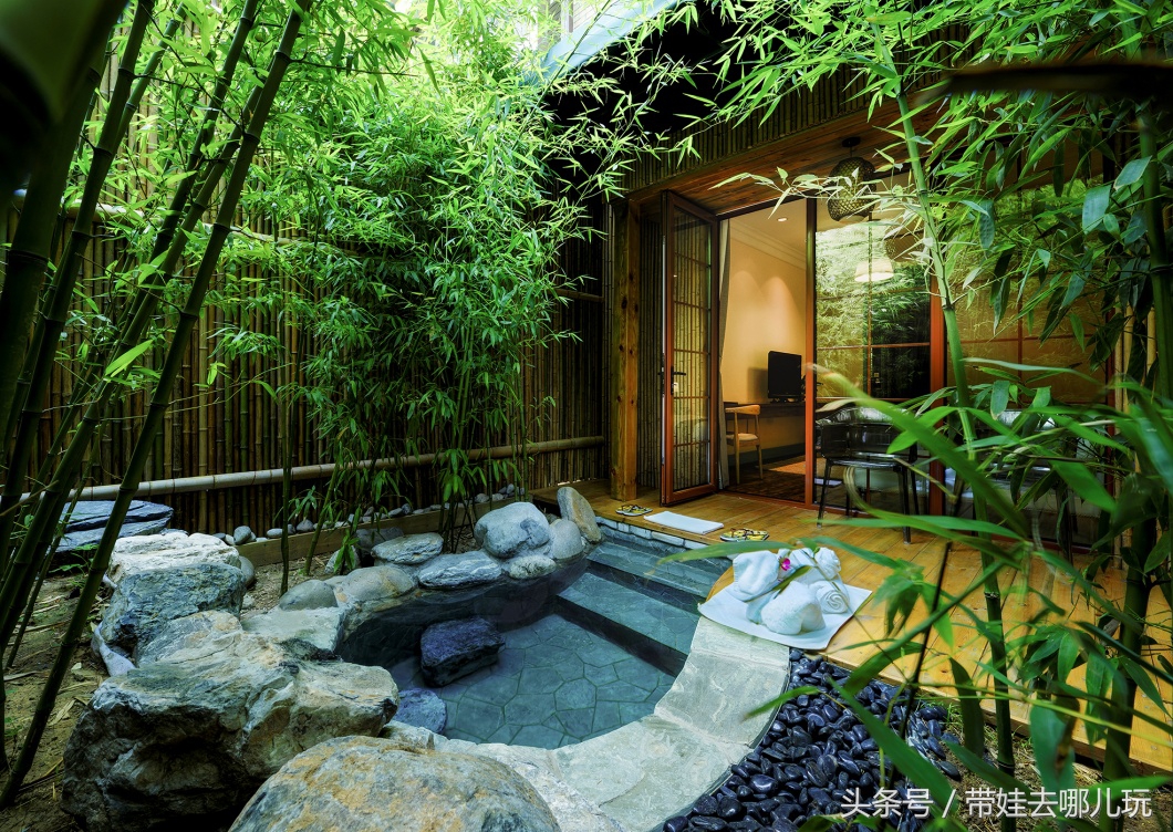 奥森附近藏着一个世外桃源，大草坪上喂白鸽、摸羊驼