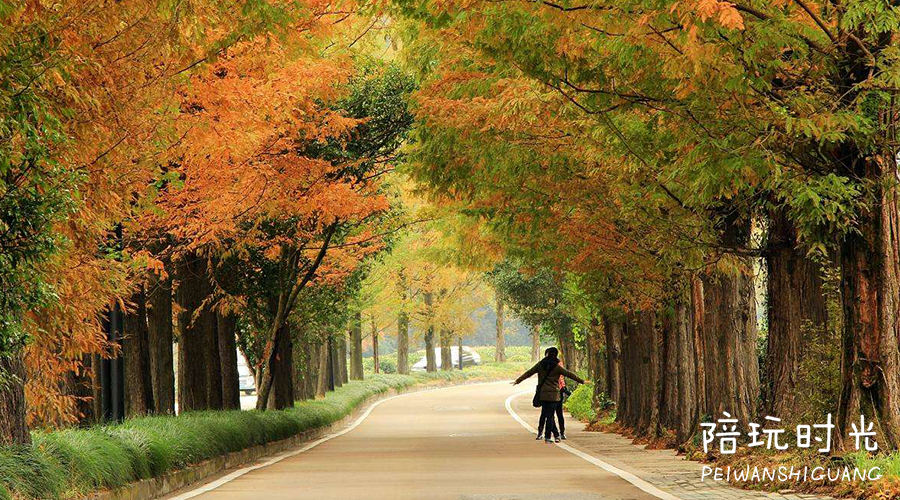 带孩子去这4个游玩胜地,景美便宜的地方