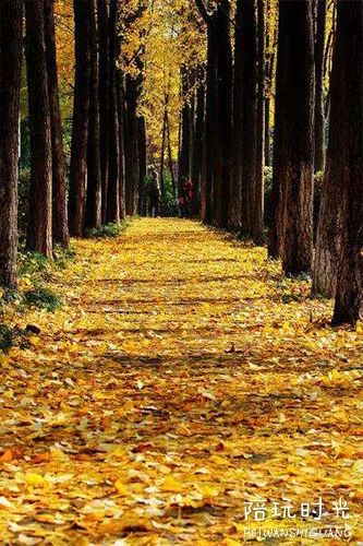 带孩子去这4个游玩胜地,景美便宜的地方