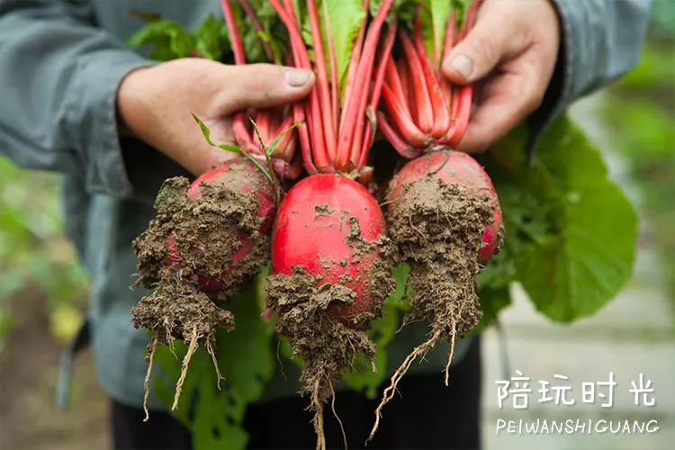 带孩子去这4个游玩胜地,景美便宜的地方