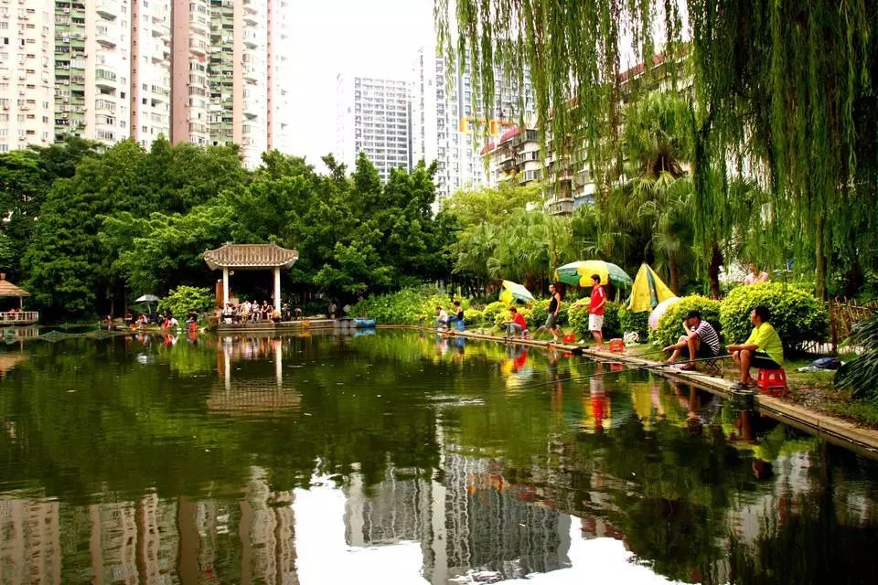 那些隐蔽的世外桃源,深圳世外桃源位置