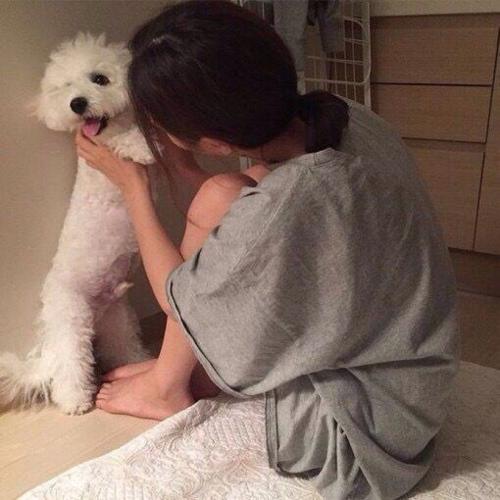 第一次养狗狗什么狗狗好养,适合情侣养的狗中型犬