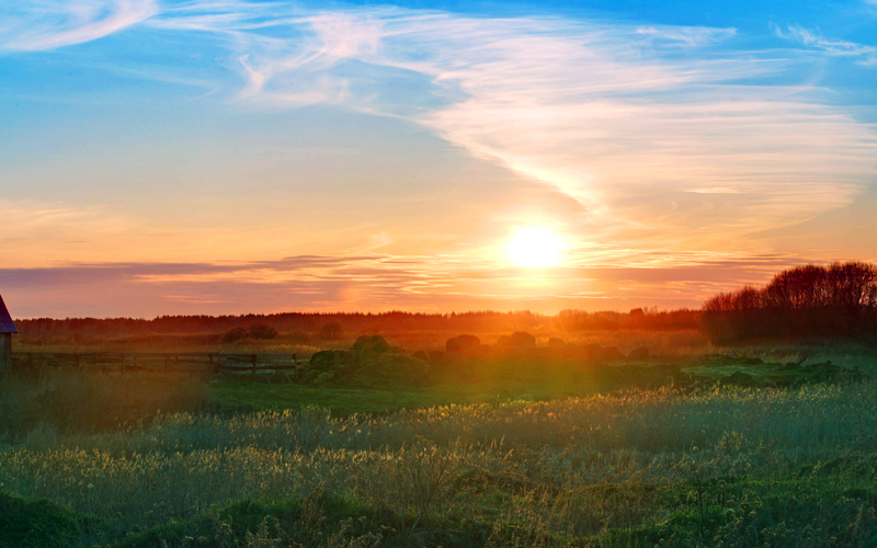 几种常用的滤镜,常用的几种滤镜