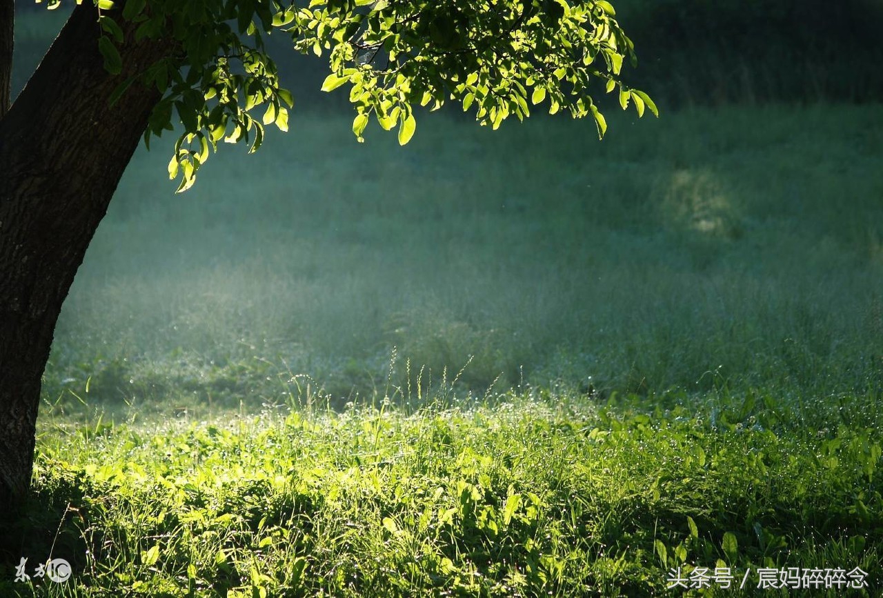 小智伴适合几岁以上的儿童,小智伴操作