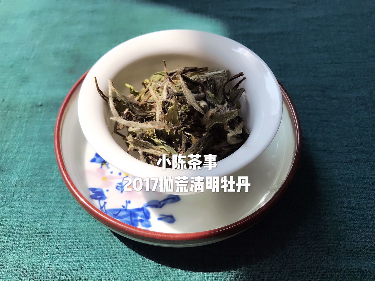 想了解白茶,花五分钟读完白茶这十个特点!