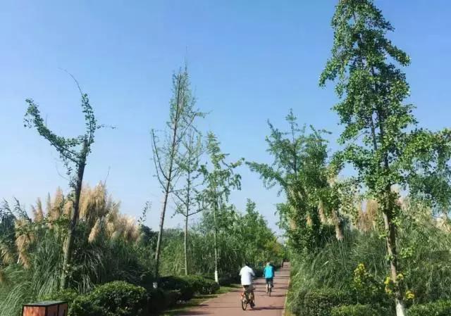 冬天成都两天来回得哪里去玩,成都3-5天短途旅游推荐