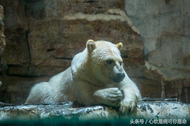 国内适合孩子去的主题乐园,国内好玩的主题乐园有哪些