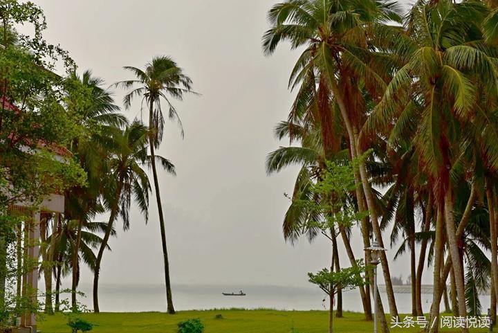 海南东郊椰林旅游攻略,海南静谧的椰林