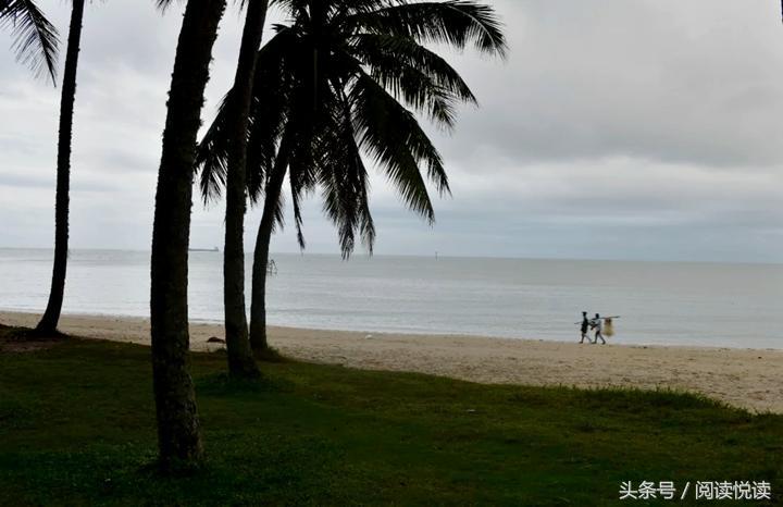 海南东郊椰林旅游攻略,海南静谧的椰林