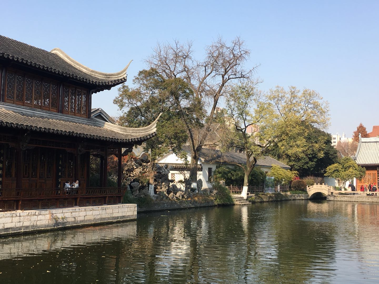 这棵银杏树,经历过湘军烧毁太平天国天王府的那把大火吗?