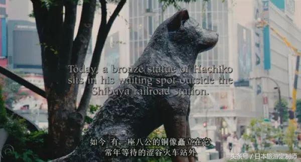 东京jr山手线详解,东京jr山手线报站