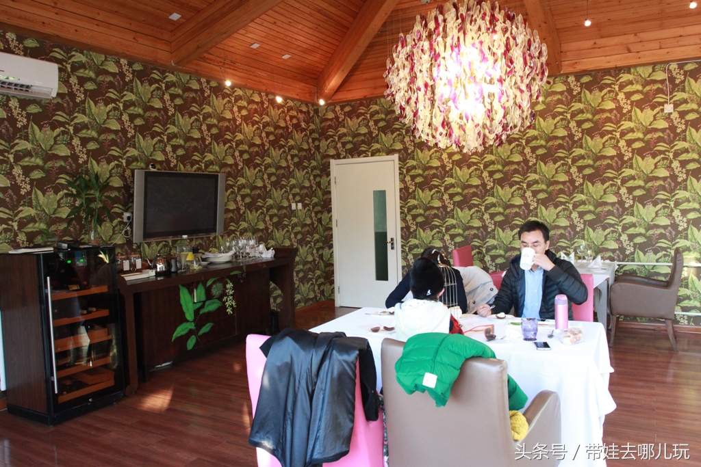 奥森附近藏着一个世外桃源，大草坪上喂白鸽、摸羊驼