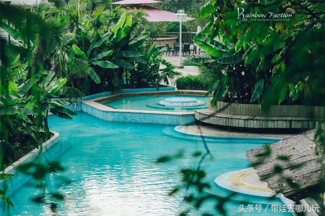 奥森附近藏着一个世外桃源，大草坪上喂白鸽、摸羊驼