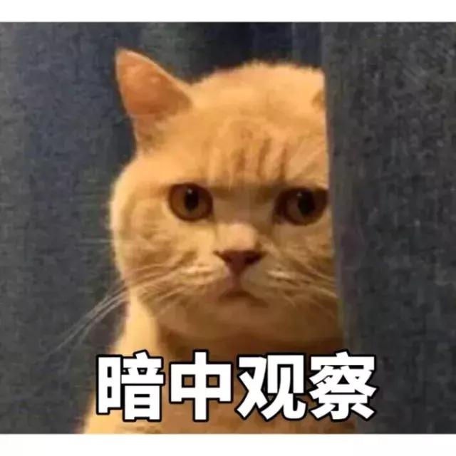 别的先放一放，第一批90后的肾已经……