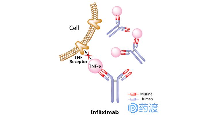 治疗银屑病生物制剂的优势,生物制剂治银屑病中的应用论文