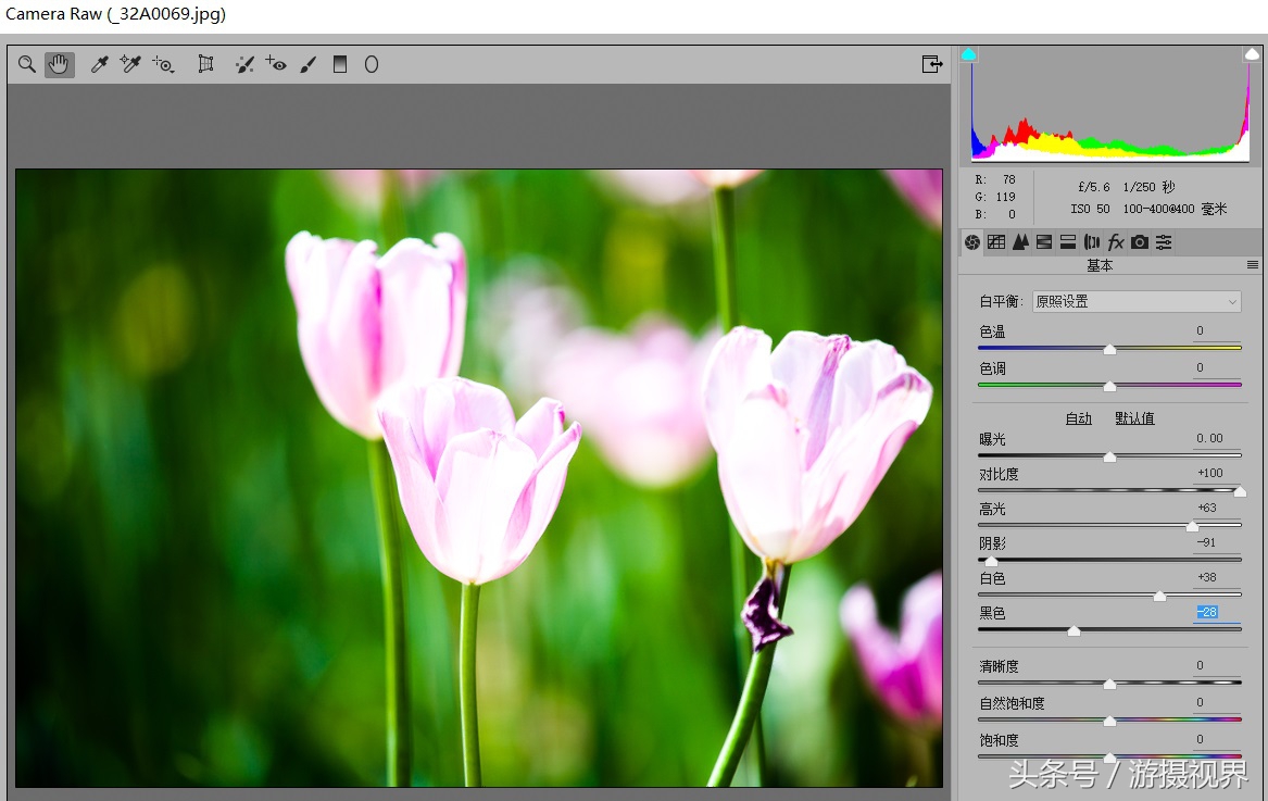 cameraraw直方图教程,cameraraw如何导出最优画质jpg