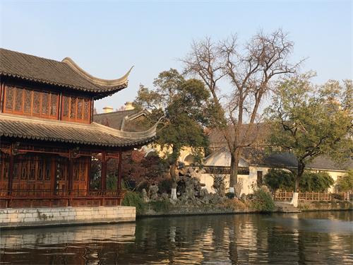 这棵银杏树,经历过湘军烧毁太平天国天王府的那把大火吗?