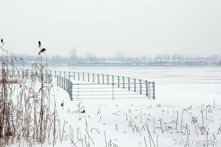 冬日恋歌最暖的歌,关于冬日恋歌的歌曲