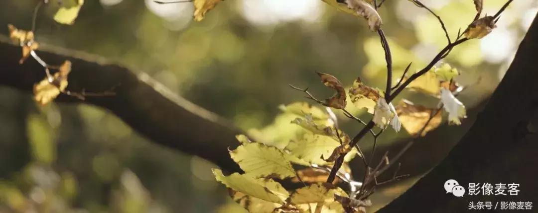 年度热门话题100个,热门话题eva