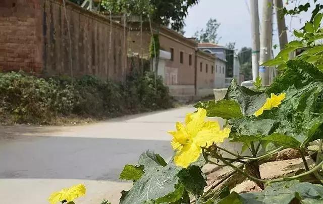 「乡愁」东古城乜村：究竟这个字如此奇特还沿用了上千年！