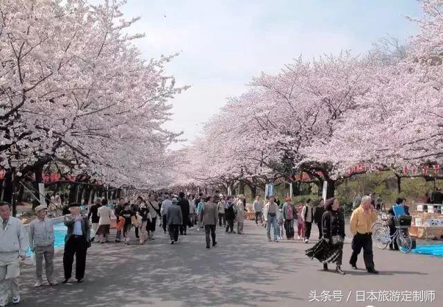 东京jr山手线详解,东京jr山手线报站