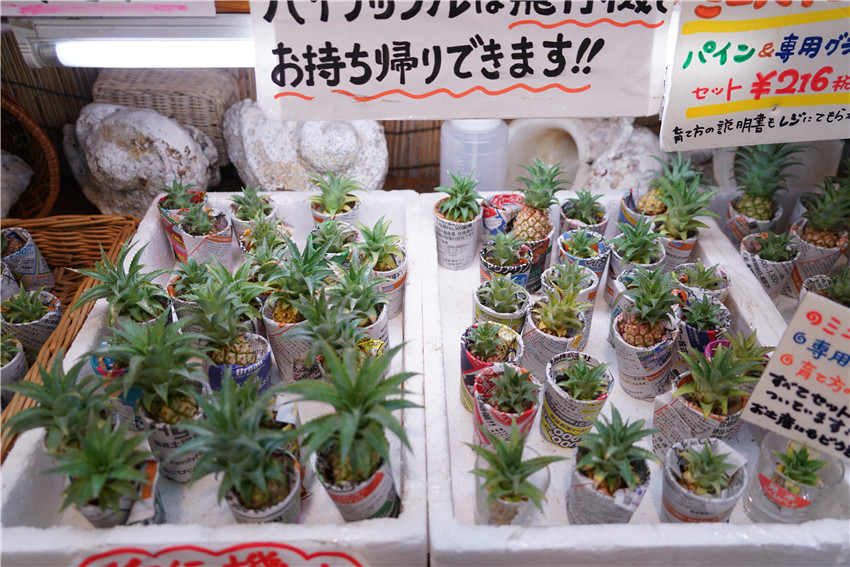 日本那霸购物攻略,日本那霸旅游好玩吗