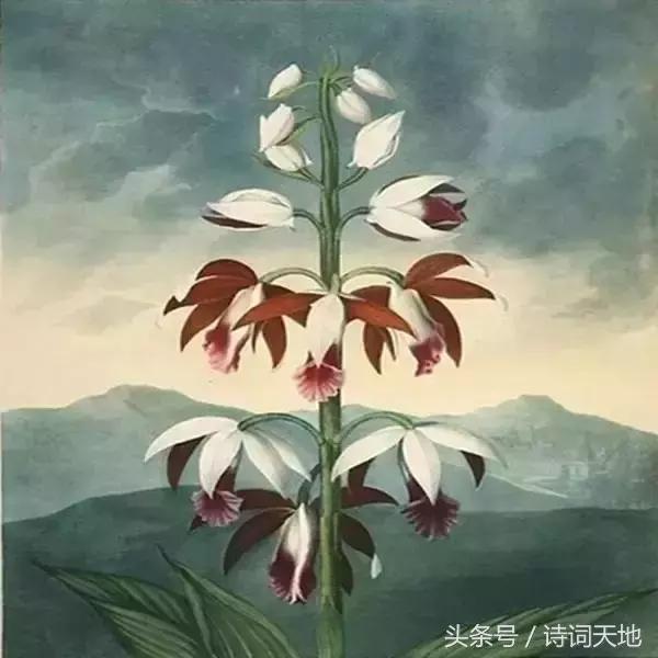 常用俗语金句大全,十句俗话珍藏经典