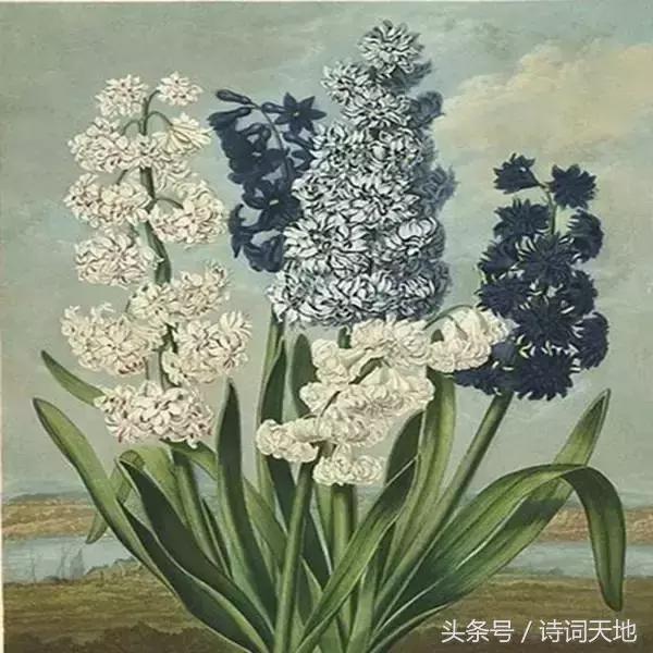 常用俗语金句大全,十句俗话珍藏经典