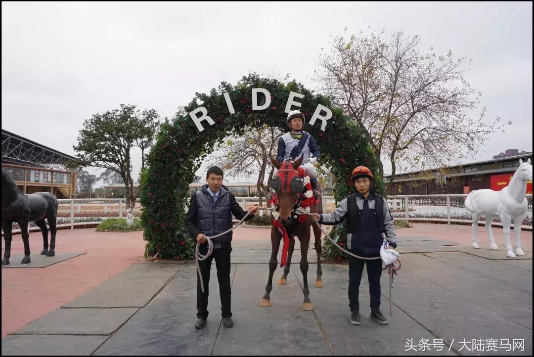 中信嘉丽泽莱德马会,昆明嘉丽泽赛马邀请赛