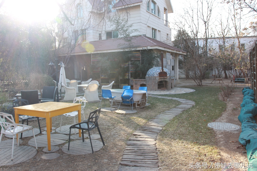 奥森附近藏着一个世外桃源，大草坪上喂白鸽、摸羊驼