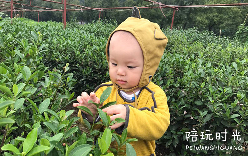 带孩子去这4个游玩胜地,景美便宜的地方