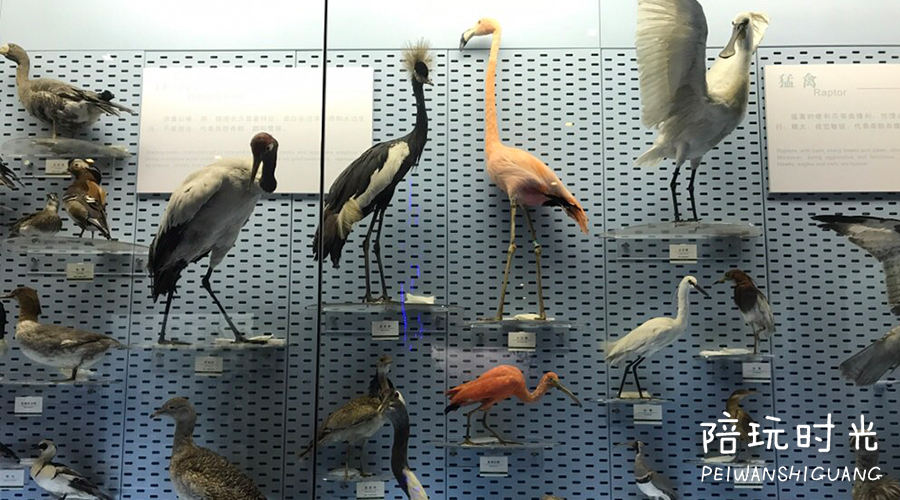 带孩子去这4个游玩胜地,景美便宜的地方