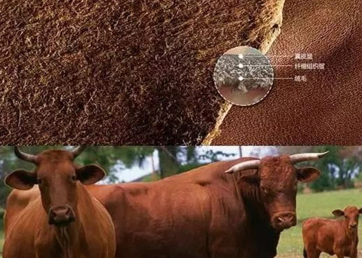 怎么知道皮料是真皮还是人造革,怎样看是不是真皮