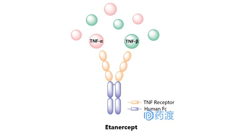治疗银屑病生物制剂的优势,生物制剂治银屑病中的应用论文
